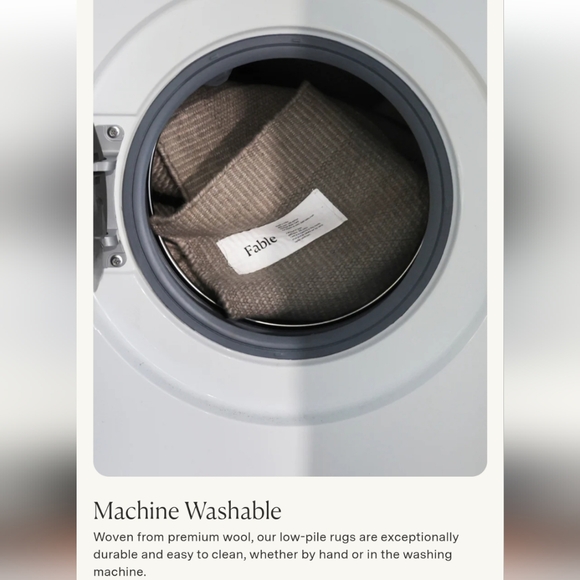 Fable Home Beige Rug 4x6 - Picture 6 of 10